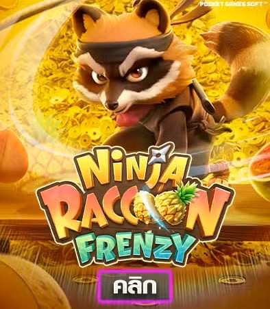 Ninja Raccoon Frenzy